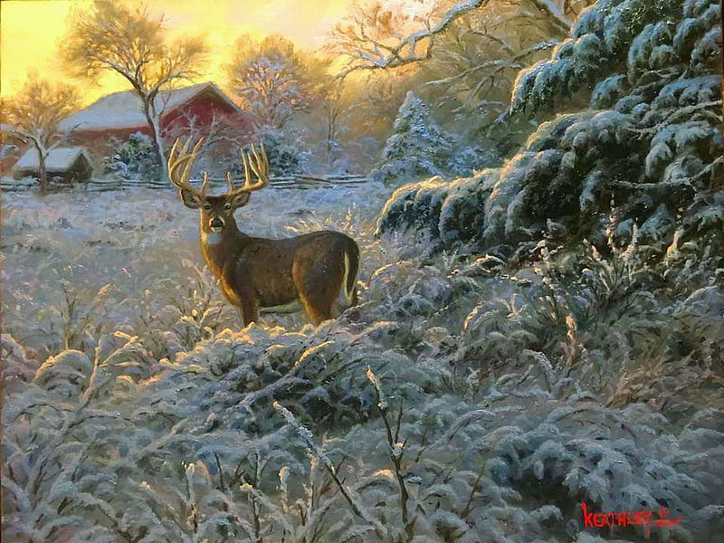 Winter Visitor by Mark Keathley, painting, ice, cabin, sunset, trees, deer, frost, artwork, HD wallpaper