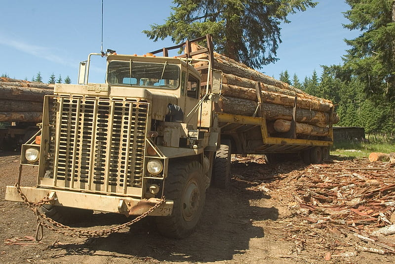 m911 military logging truck, military, army, truck, logging, HD wallpaper