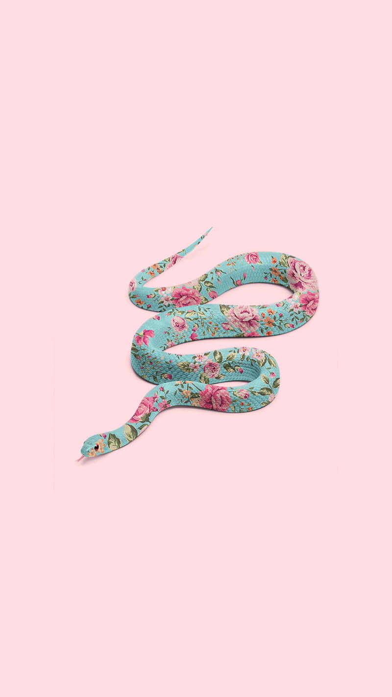 Download Cute 3D Snake Picture  Wallpaperscom