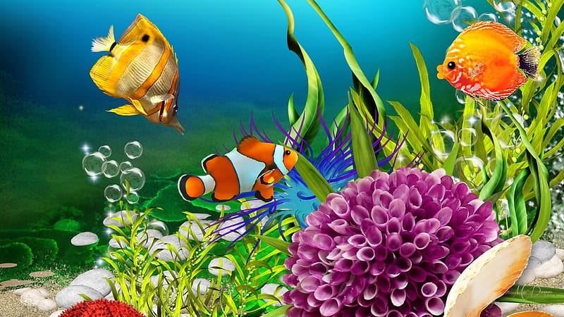 Itty Bitty Fishes, sand, fish, sea shells, plants, coral, Firefox Persona theme, sea, HD wallpaper