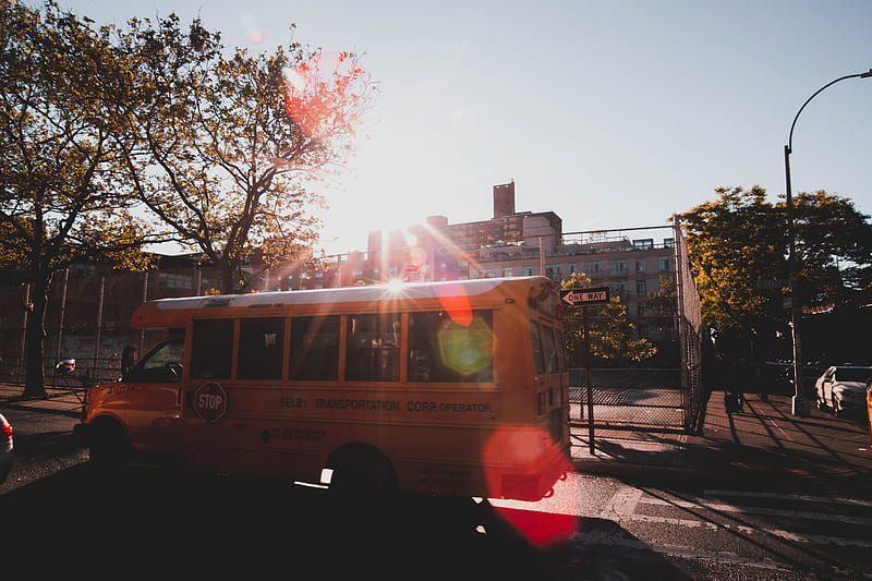 sunlight, school bus, transportation, urban, City, HD wallpaper