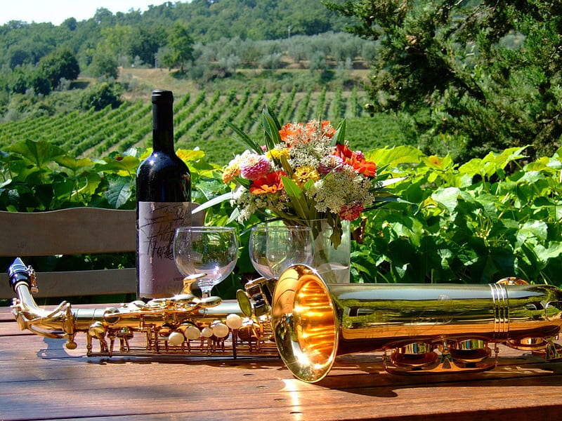 Still Life, vinyard, wine, bottle, music, flowers, saxophone, landscape, HD wallpaper