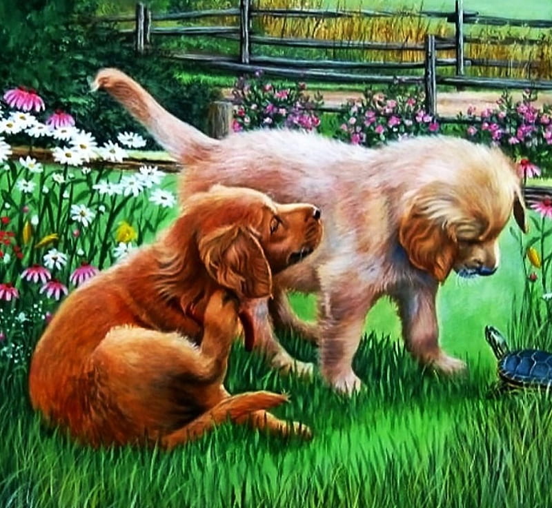 Garden Adventures, painting, puppys, flowers, turtle, artwork, dogs, HD wallpaper