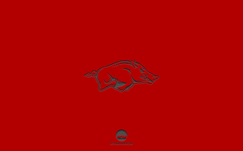 Arkansas Alumni Association on Twitter You liked it so much now you can  put it on your phone to see it all the time Visit httpstco68x2FbnHk1  to download the wallpaper as well