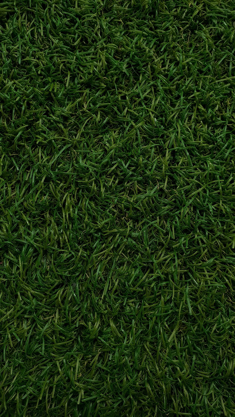 Fake Grass, floor, covering, green grass, green, fill the frame, background,  HD phone wallpaper | Peakpx