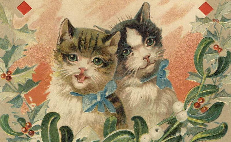 Vintage Kittens, art, christmas, victorian, postcard, kittens, holly, cat, mistletoe, kitten, cats, HD wallpaper