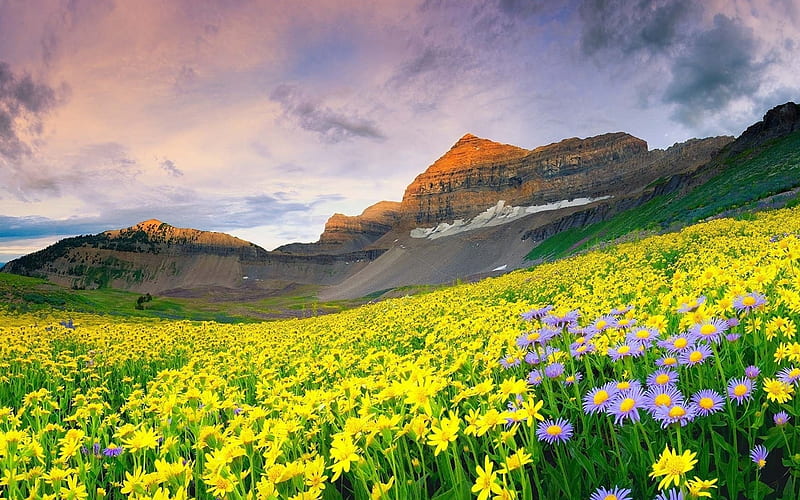 Valley Of Flowers, mountain, flowers, nature, spring, sky, valley, HD  wallpaper | Peakpx