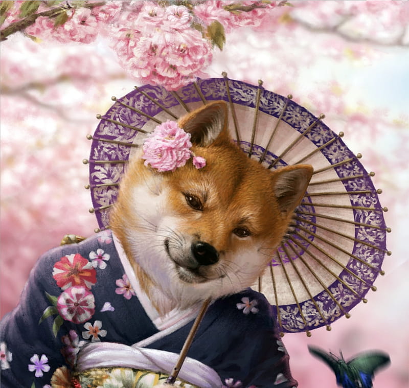 Hana, umbrella, caine, pink, chalky nan, parasol, dog, animal, kimono, fantasy, flower, HD wallpaper