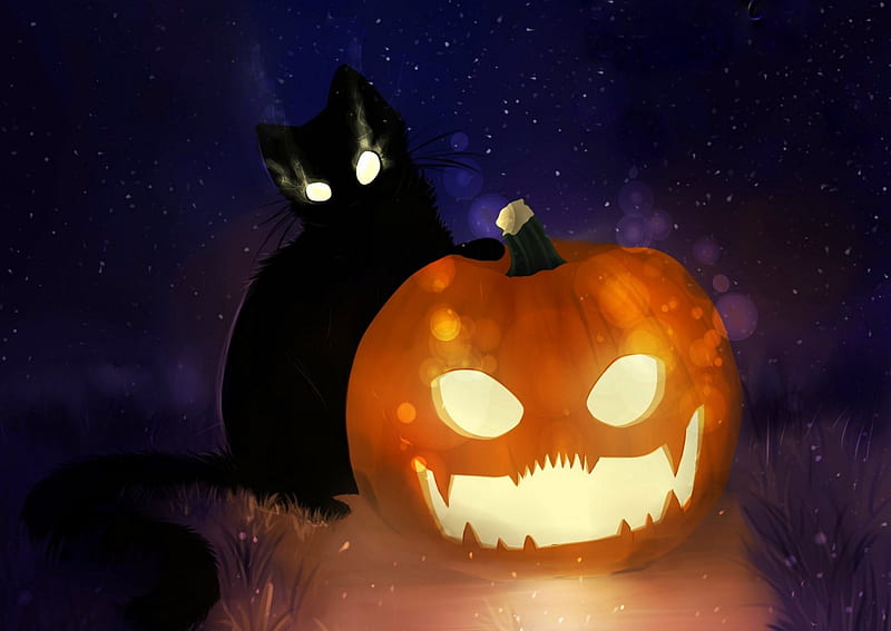 Halloween Spooky Kitty, pretty, lovely, halloween, kitty, colors, love four seasons, creative pre-made, cute, spooky, black cat, kitten, cats, animals, pumpkins, HD wallpaper