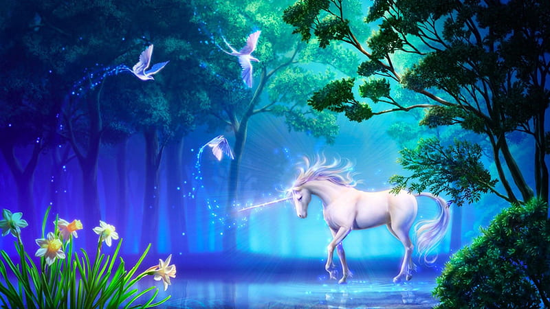 Fantasy White Unicorn In Blue Background Unicorn, HD wallpaper