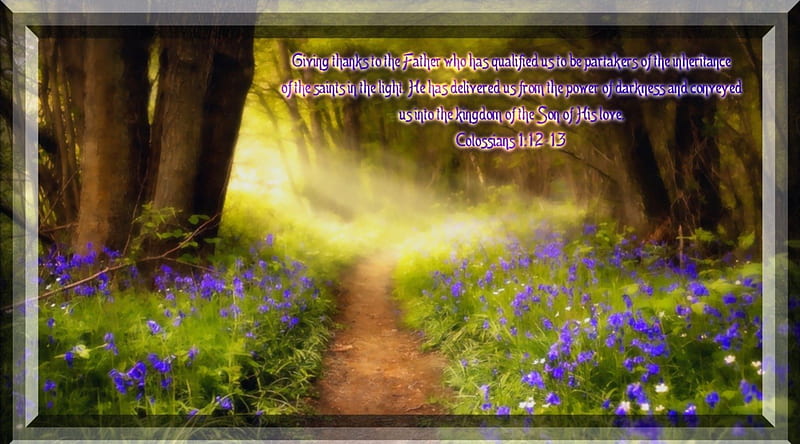 The Son of His Love, paths, bible verses, woods, jesus, scriptures, flowers, path, morning, forests, bible, god, light, holy spirit, HD wallpaper