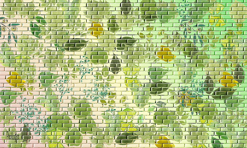 Pcologist-brickwall-green-graffiti-enlarge-for-best-effect-experiment-05, icon friendly enlarge for effect, Brick wall grafitti, enlarge for best effect experiment 05, leaf graffiti, HD wallpaper