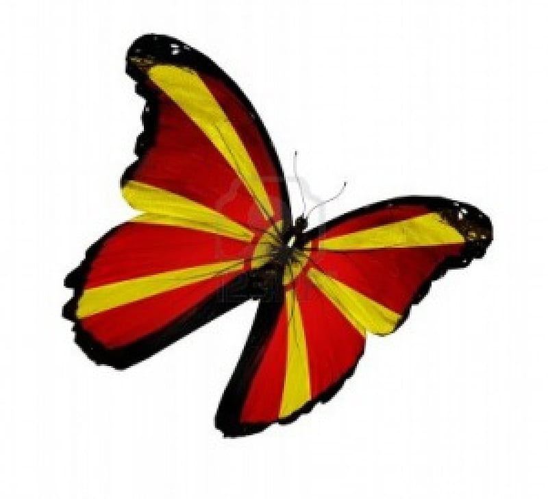 Macedonian flag butterfly, Flag, macedonian, Flying, Butterfly, HD wallpaper