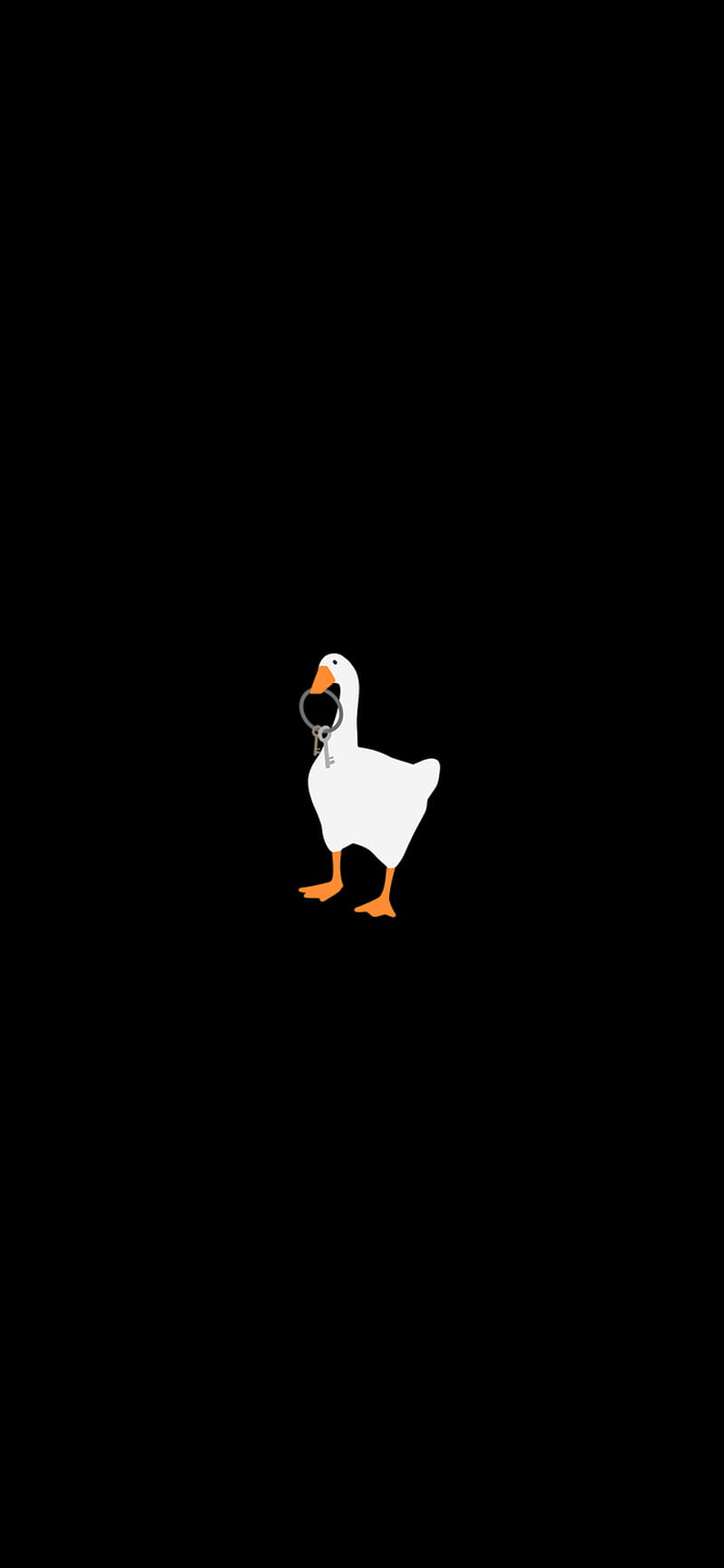 Goose. [1080 X 2340] : R Amoledbackground, Untitled Goose Game, HD phone wallpaper