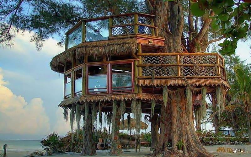 Luxury Treehouse, tree, nature, house, ocean, HD wallpaper