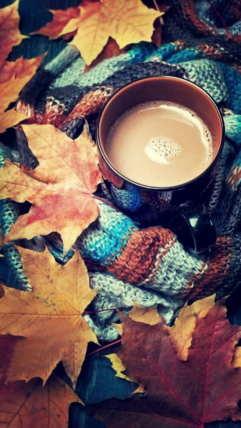 Autumn, cocoa, scarf, HD phone wallpaper
