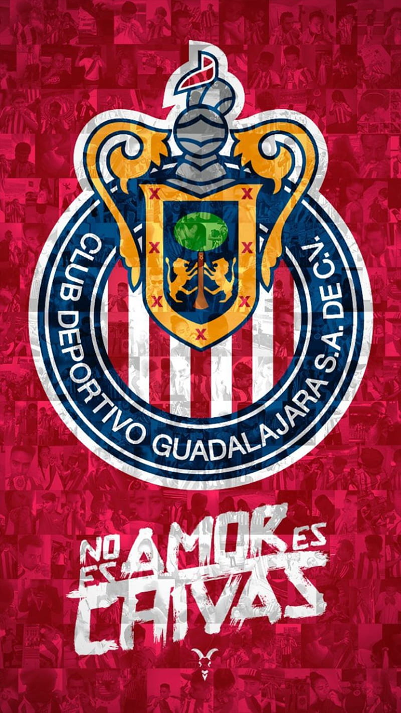 Chivas soccer esports HD wallpaper  Peakpx