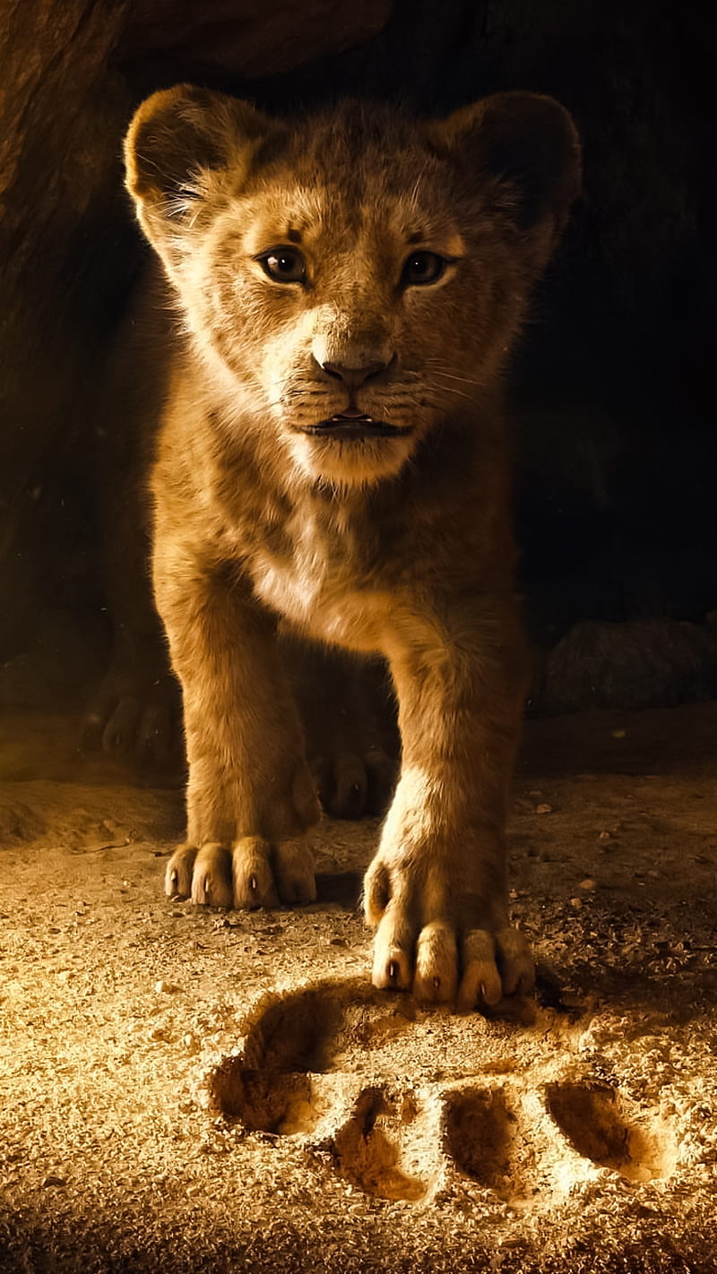 Lion King iPhone Lion For Mobile HD phone wallpaper  Pxfuel