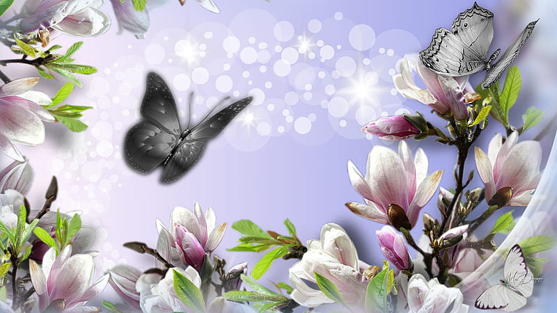 Magnolias and Silver Butterflies, magnolias, spring, butterflies, floral, bokeh, summer, flowers, Firefox Persona theme, light, HD wallpaper