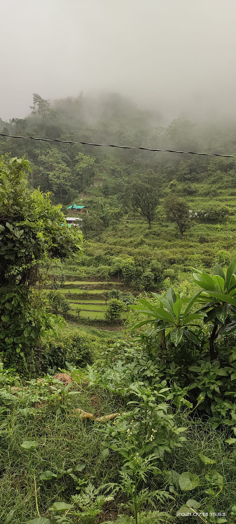 Nature, sky, mountains, terrace farm, Neelkanth, India, cloud, greenery, mountain, om namah shivay, shiv, mahadev, uttarakhand, HD phone wallpaper