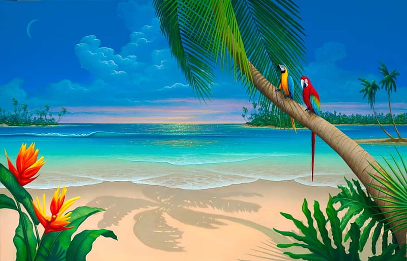 ANOTHER PARADISE, PARROTS, PALM TREES, CLOUDS, BEACH, SHADOW, OCEAN, BIRDS, HD wallpaper