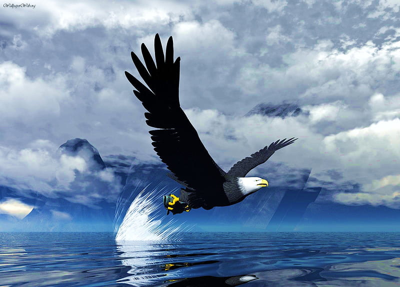The catch, water, wings, talons, fish, eagle, catch, sky, HD wallpaper