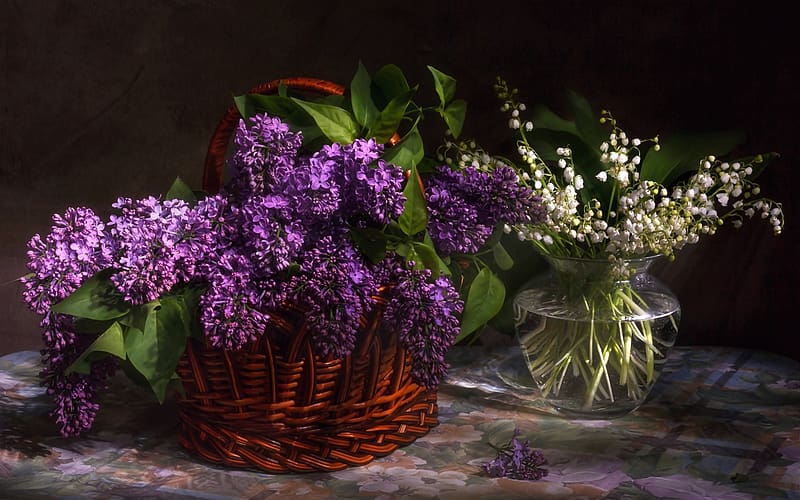 Lilac, Lily Of The Valley, Still Life, Vase, Basket, , White Flower, Purple Flower, HD wallpaper