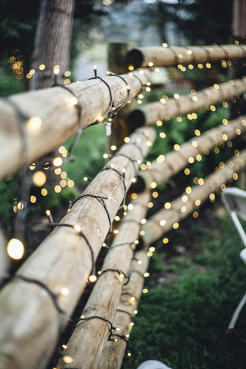 brown bamboo fence with string lights, HD phone wallpaper