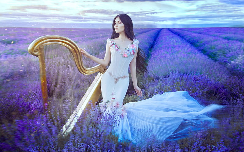 Woman With Harp in Lavender Field, lovely, ethereal, gown, music, bonito, softness, lavende, brunette, feminine, flowers, harp, Woman, lady, field, HD wallpaper