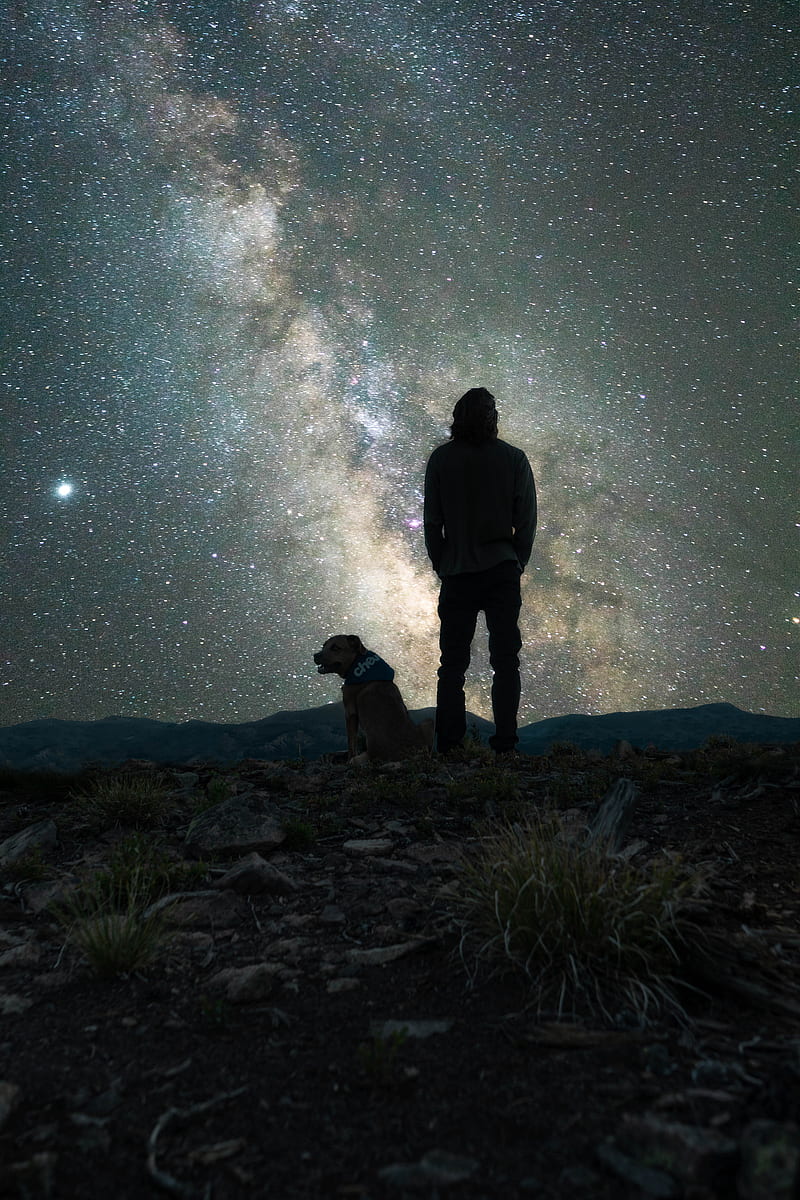 man, dog, night, starry sky, nebula, HD phone wallpaper