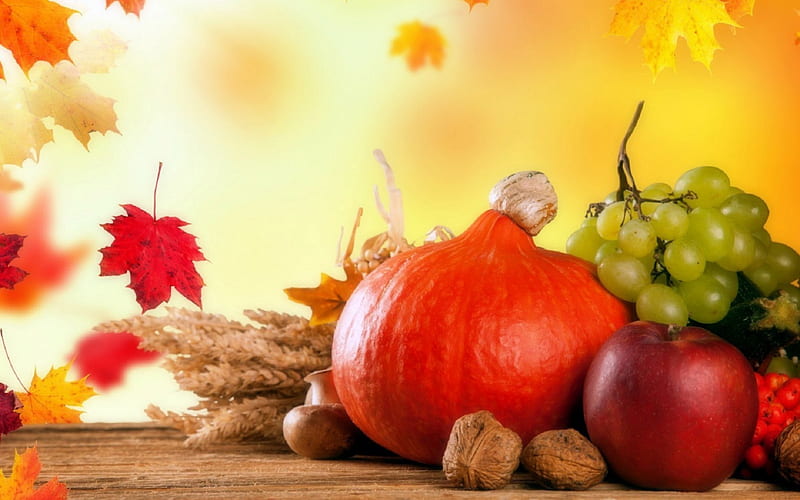 'Autumn Fruits & Vegetables', fall, colorful, autumn, fruits, bonito, foods, graphy, leaves, lovely still life, lovely, apples, colors, love four seasons, creative pre-made, cranberries, nature, mushrooms, vegetables, pumpkins, HD wallpaper