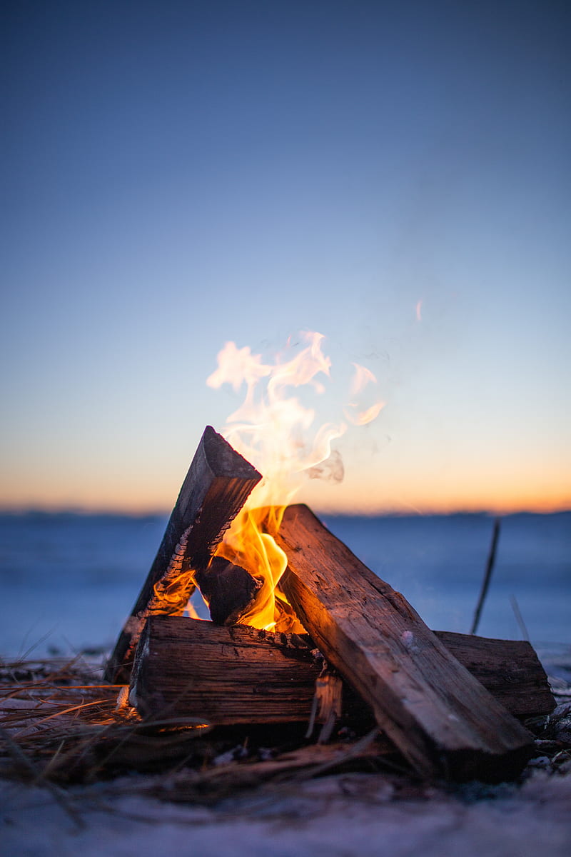 bonfire, firewood, fire, flame, camping, evening, HD phone wallpaper