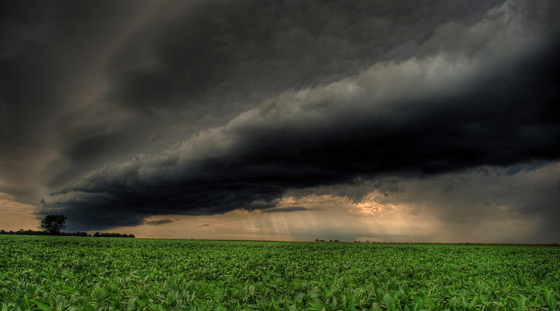 dark storm clouds over fields r, fields, r, rain, clouds, storm, HD wallpaper