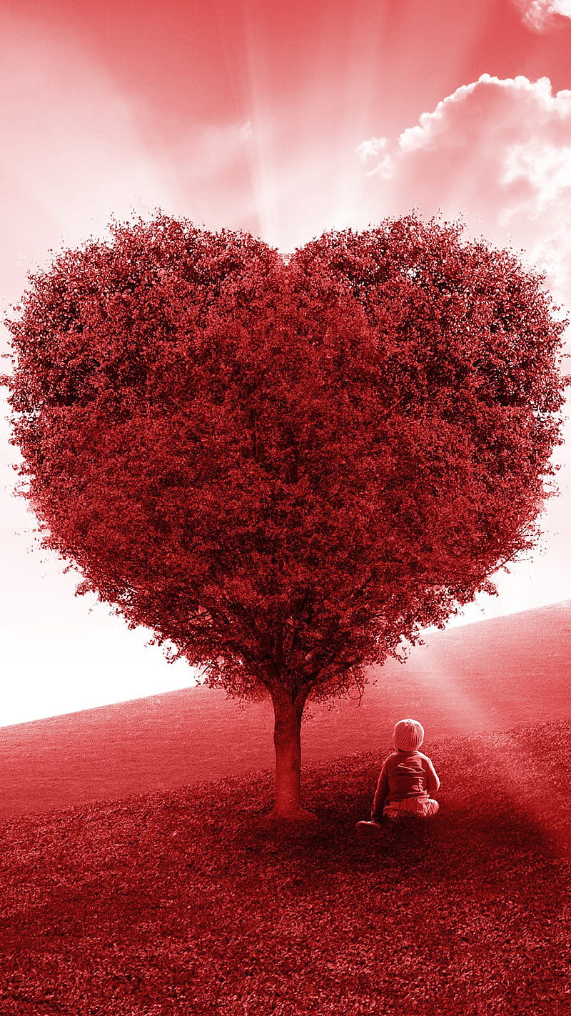 HD red love tree wallpapers