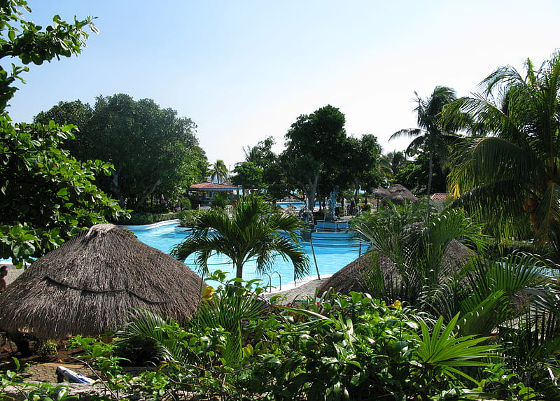 Take it easy, paradise, plants, swimming pool, hot, blue sky, palm tree, HD wallpaper