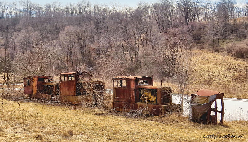 Rusty Abandoned Train Cars, architecture, vehicle, train, rust, nature, caboose, transportation, HD wallpaper