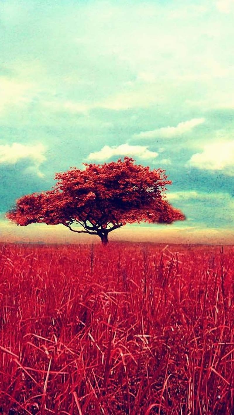 Iphone Best, red nature background, nature chill, red portrait, HD phone wallpaper