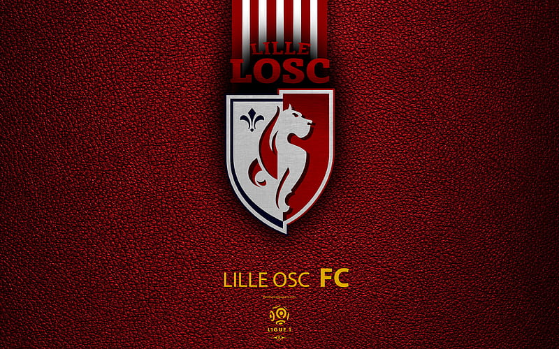 Lille OSC, FC French Football Club, Ligue 1, leather texture, logo, emblem, Lille, France, football, HD wallpaper