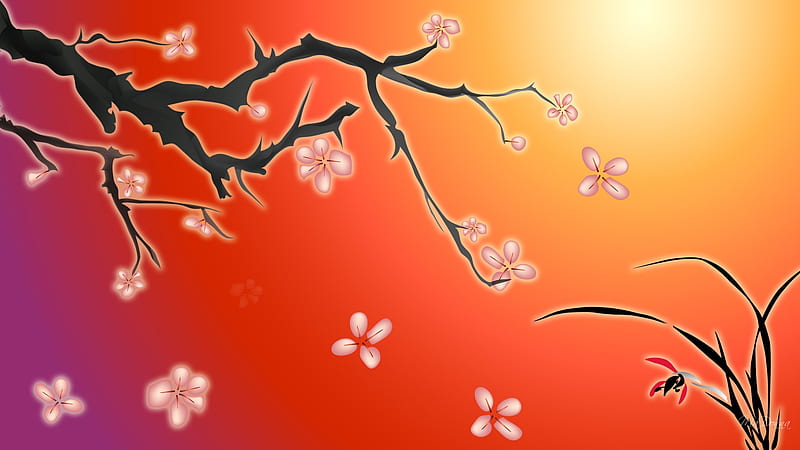 Oriental Sky, red, sakura, orange, firefox persona, sunset, sky, tree, plants, blossoms, sunrise, cherry, HD wallpaper