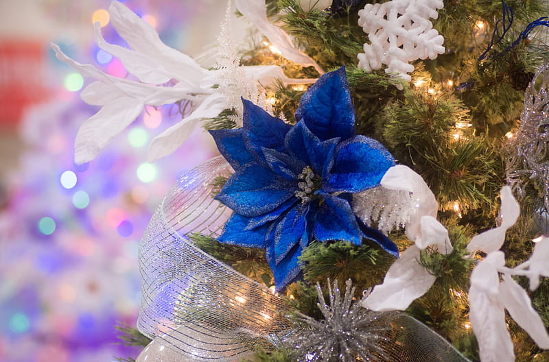 Blue poinsettia, ornaments, tree, bokeh, christmass, HD wallpaper