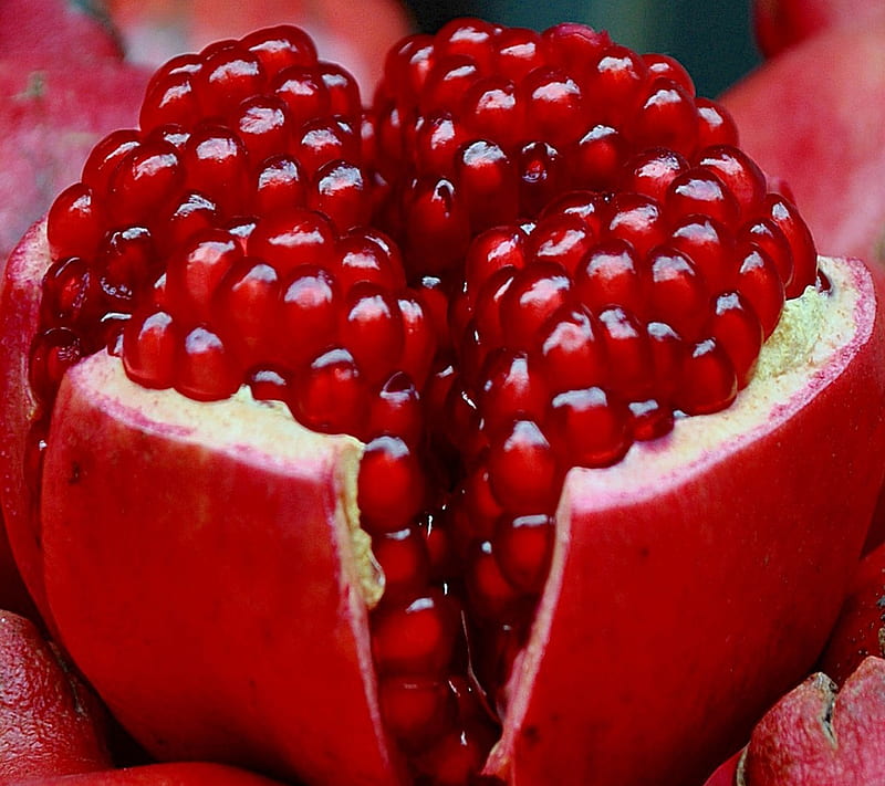 Download Pomegranate wallpapers for mobile phone free Pomegranate HD  pictures