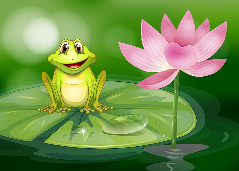 Funny Frog, pink, lotus, pad, water, gree, lilly, floating, HD wallpaper