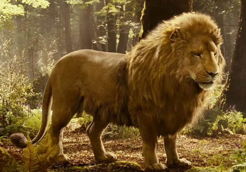The chronicles of narnia aslan hi-res stock photography and images