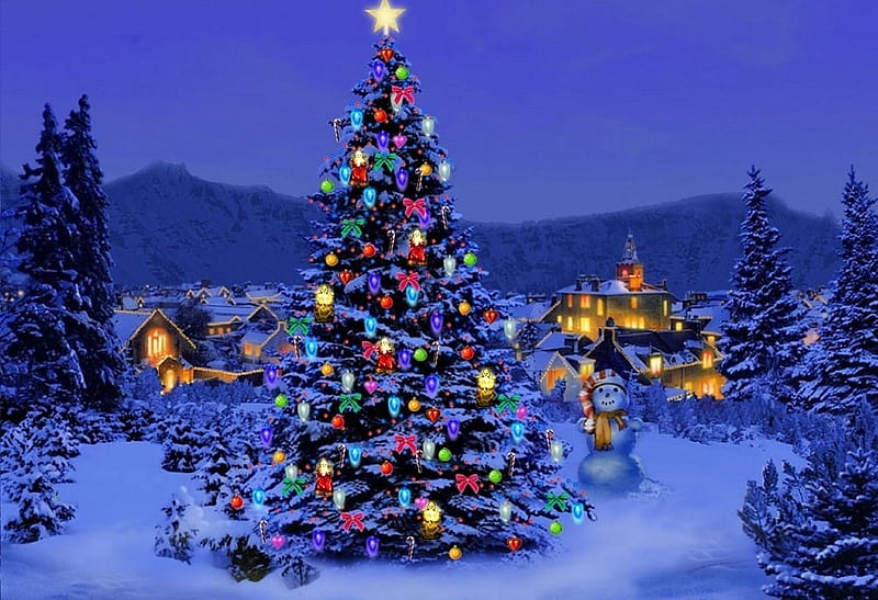 Beautiful christmas tree, holiday, christmas, trees, lights, HD wallpaper |  Peakpx