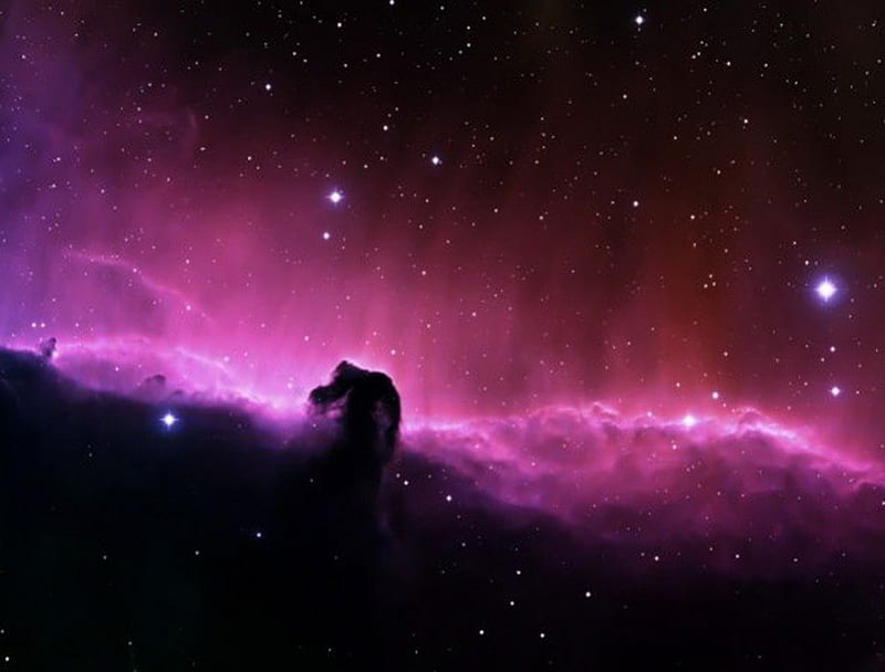 horse head nebula, stars, super, attractive, violet, horse, HD wallpaper