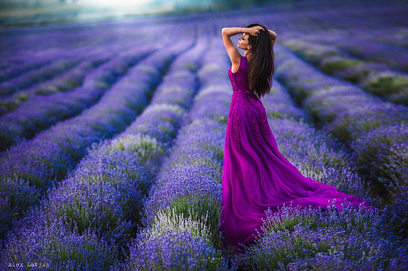 ლ, Field, Fielf, Lavender, Mood, Girl, Pose, HD wallpaper