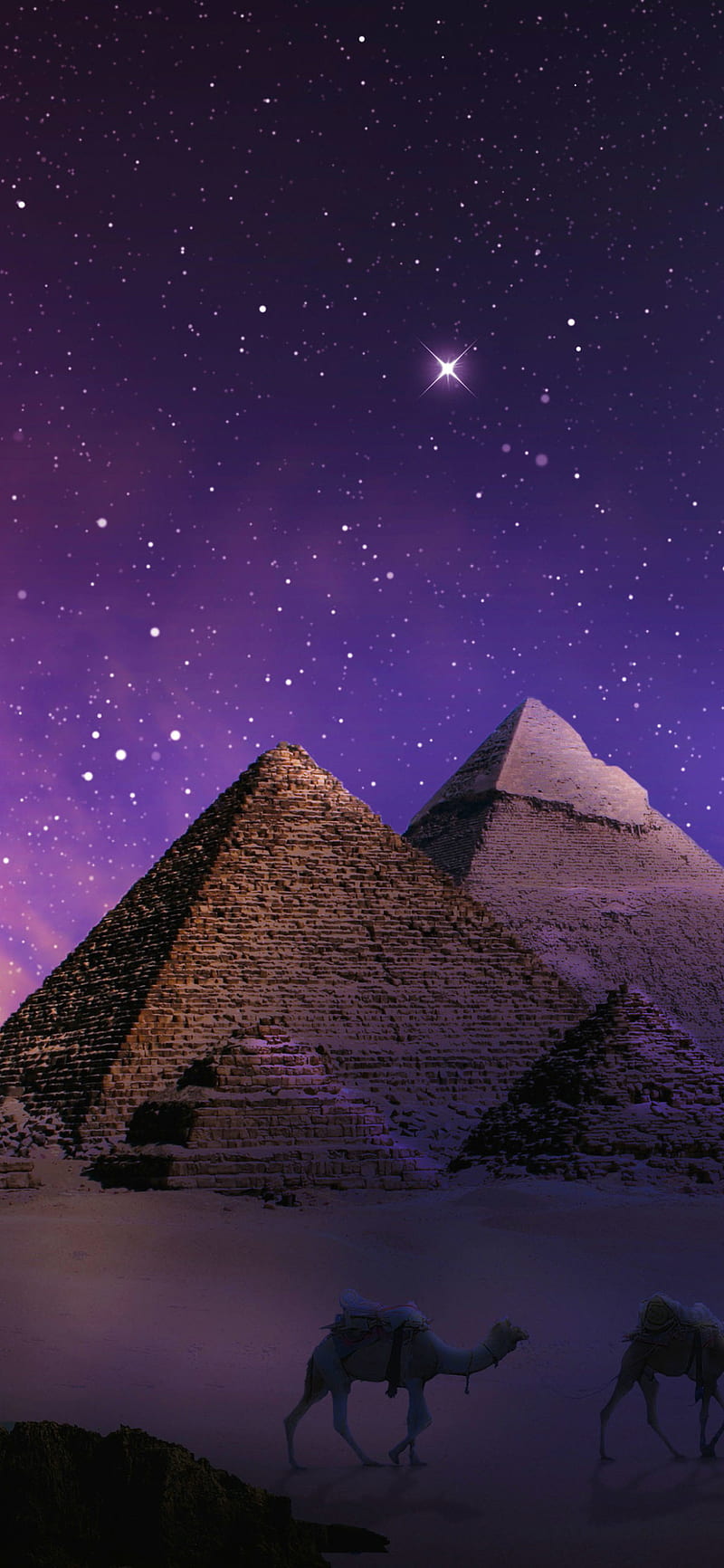 Pyramids, camels, sky, egypt, nature, giza, night, HD phone wallpaper