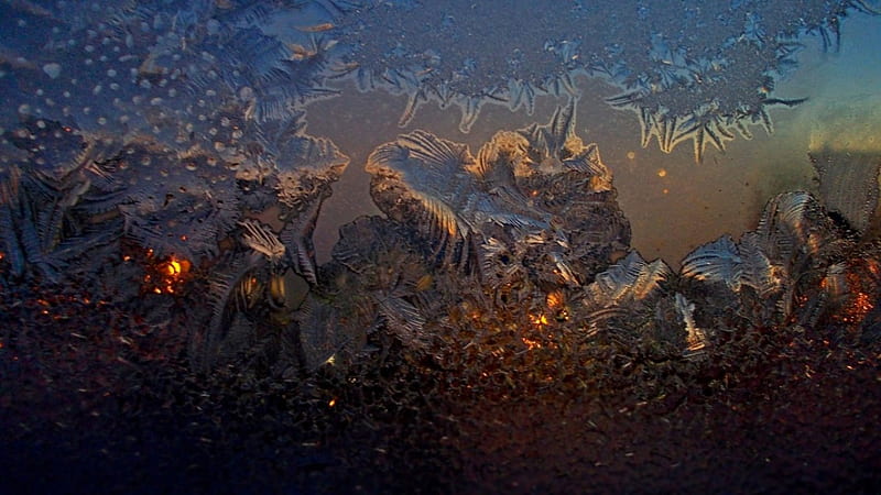City lights abstract, lights, winter, ice pattern, glass, graphy ice, nature, ice crystals, iceflowers, HD wallpaper