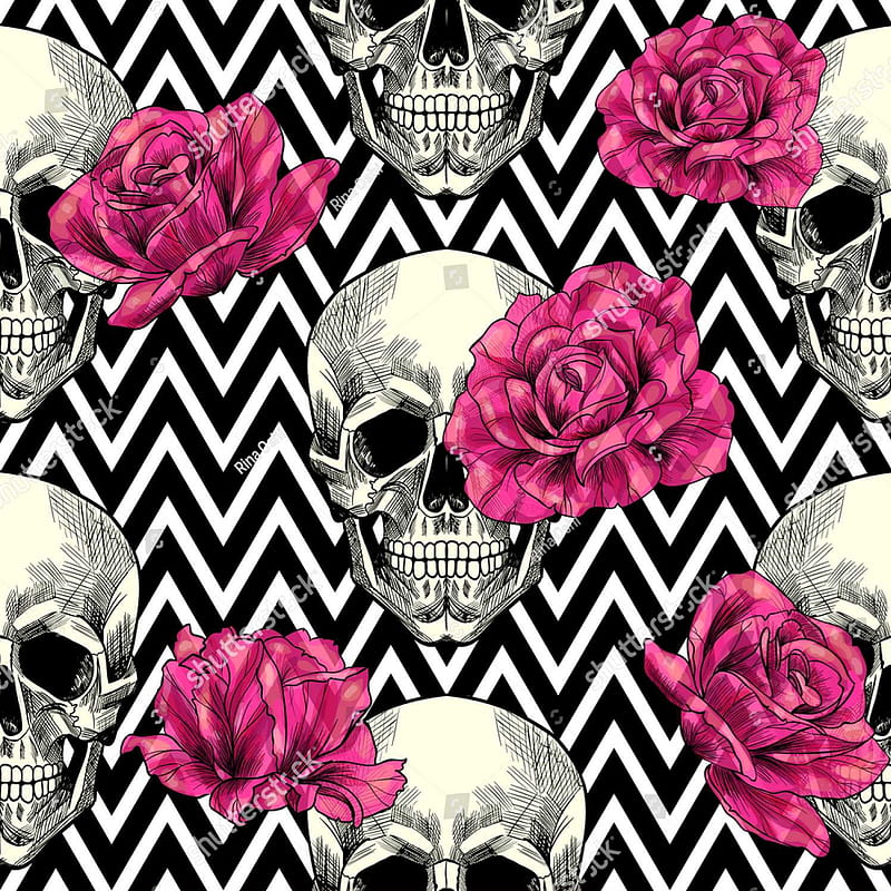 Skulls, chevron, rose, skull, HD phone wallpaper