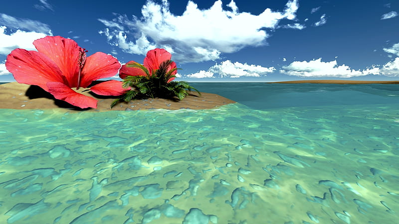 Tropical paradise, beach, Sea, Hibiscus, Flowers, HD wallpaper
